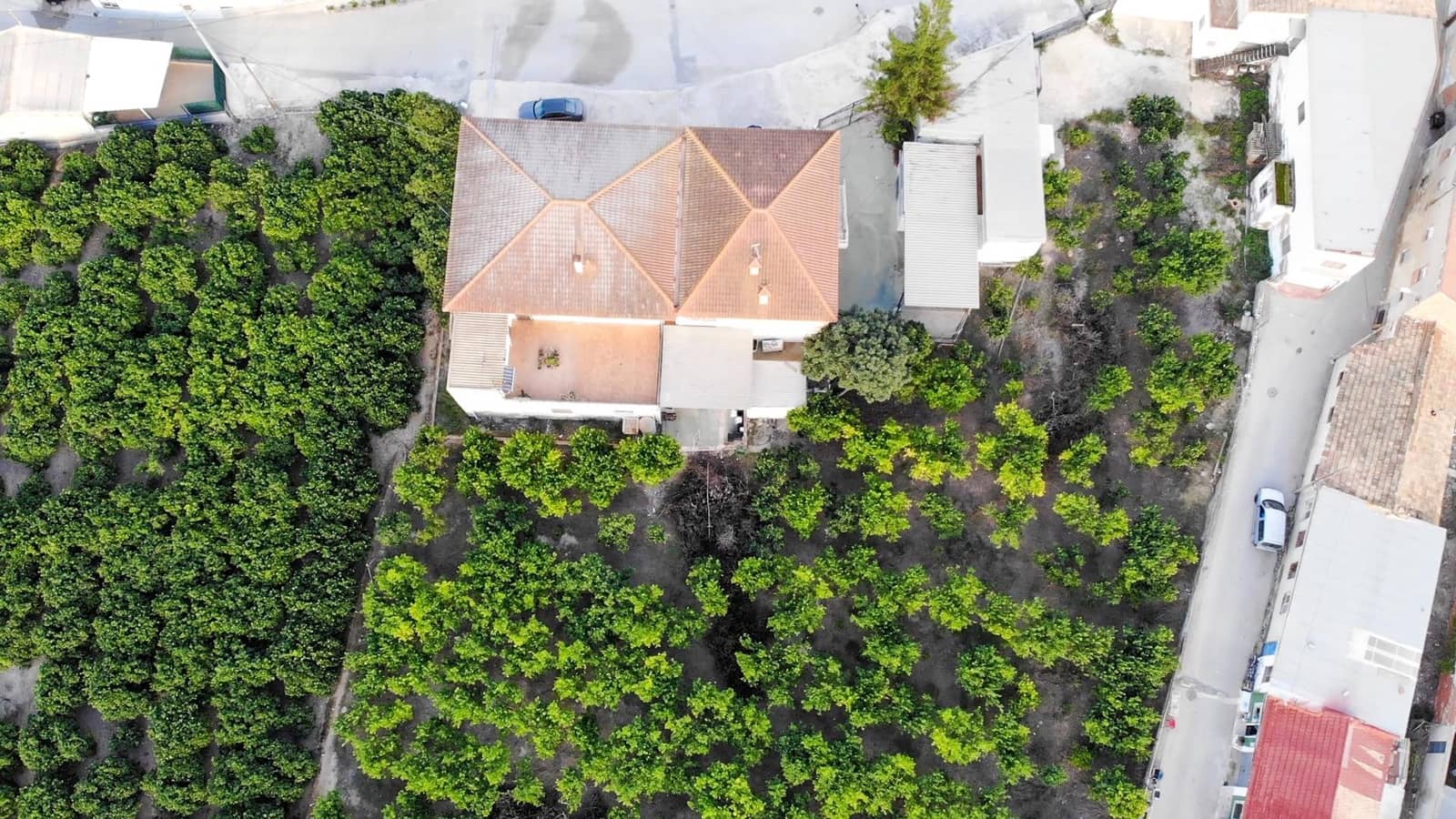 5 bedroom Commercial for sale in Orihuela - € 590,000 (Ref: 9379418)