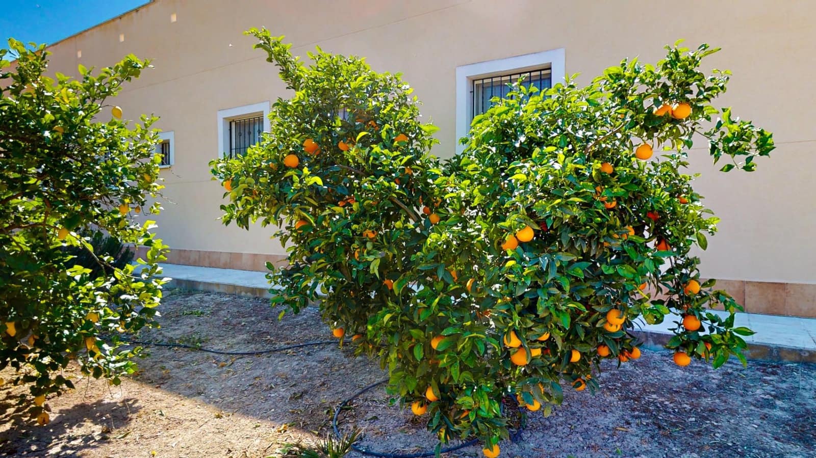 12 bedroom Villa for sale in Benferri with pool garage - € 469,000 (Ref: 9379437)