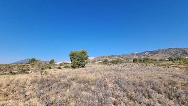 Grond te koop in Abanilla - € 180.000 (Ref: 9379438)