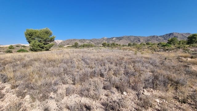 Grond te koop in Abanilla - € 180.000 (Ref: 9379438)