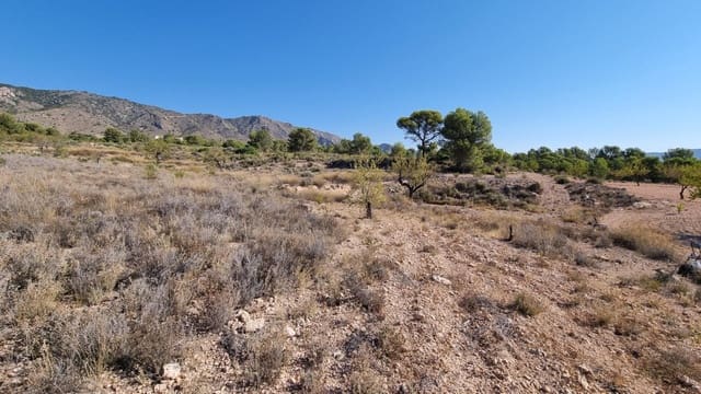 Grond te koop in Abanilla - € 180.000 (Ref: 9379438)