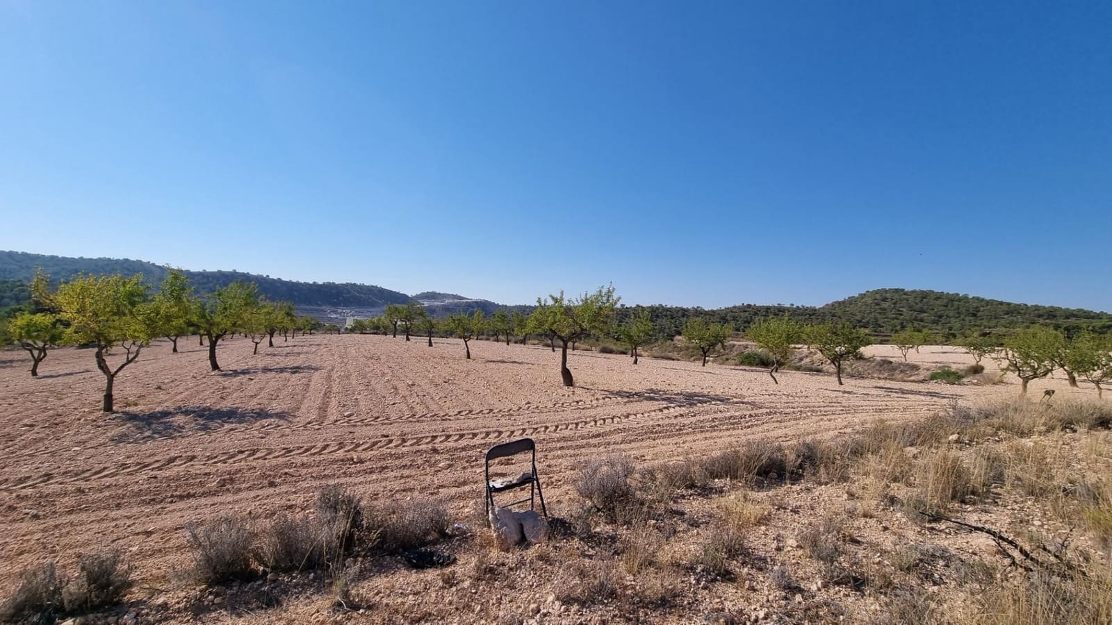 Terreno/Finca Rústica en Abanilla en venta - 150.000 € (Ref: 9379438)