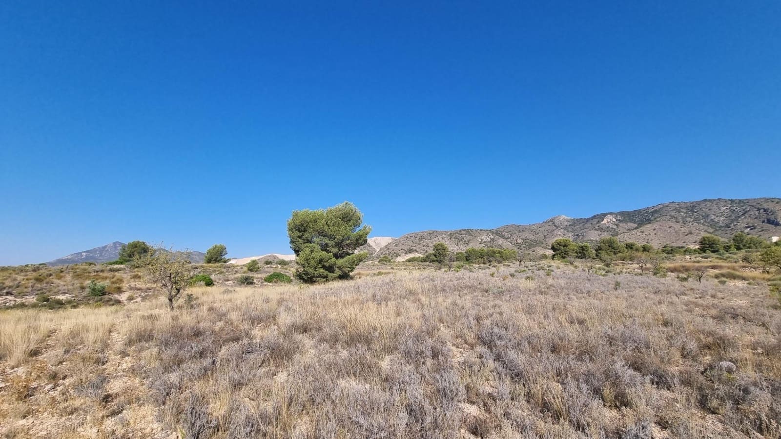 Terreno Non Edificato in vendita in Abanilla - 150.000 € (Rif: 9379438)