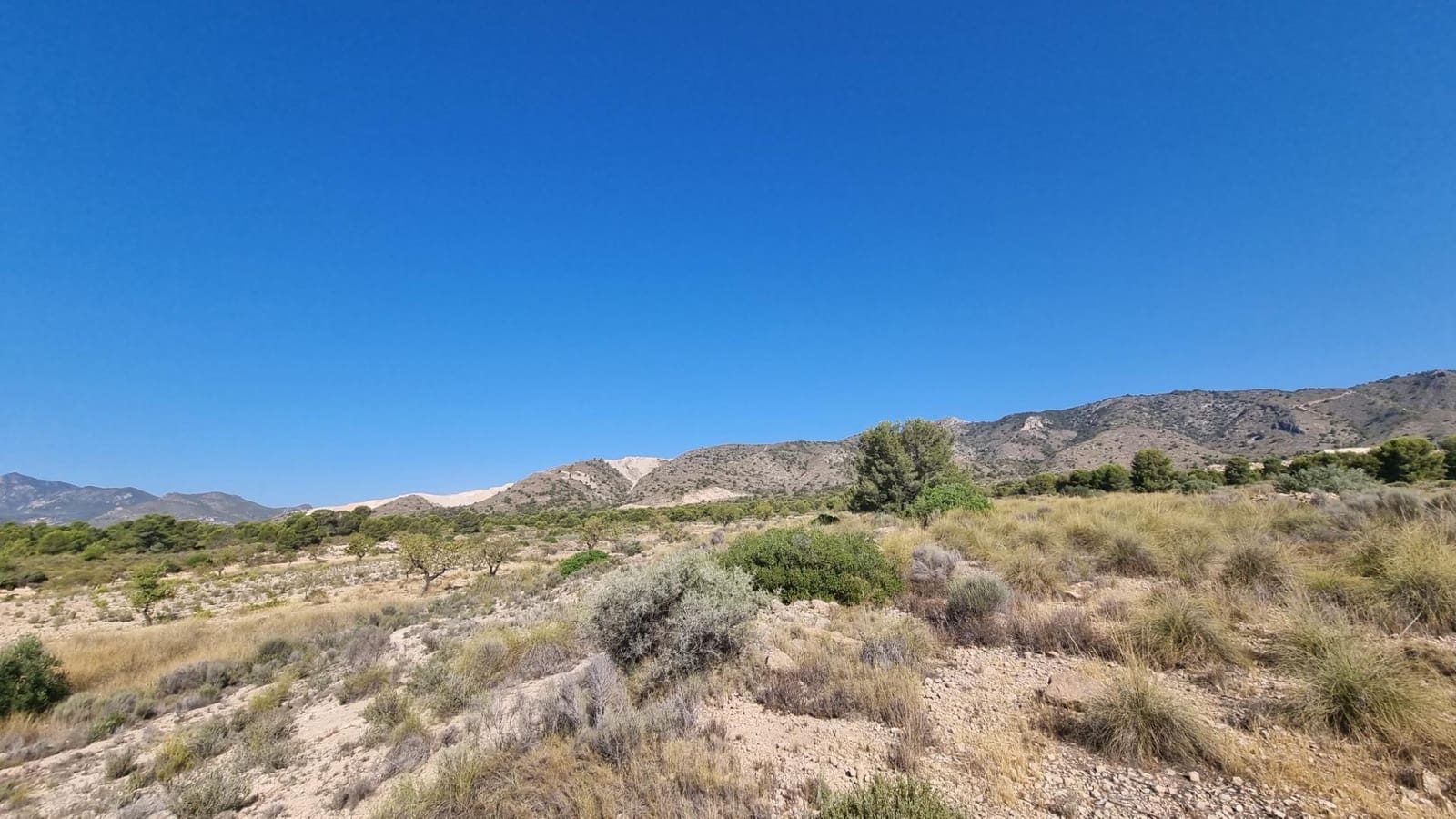 Terreno Non Edificato in vendita in Abanilla - 150.000 € (Rif: 9379438)