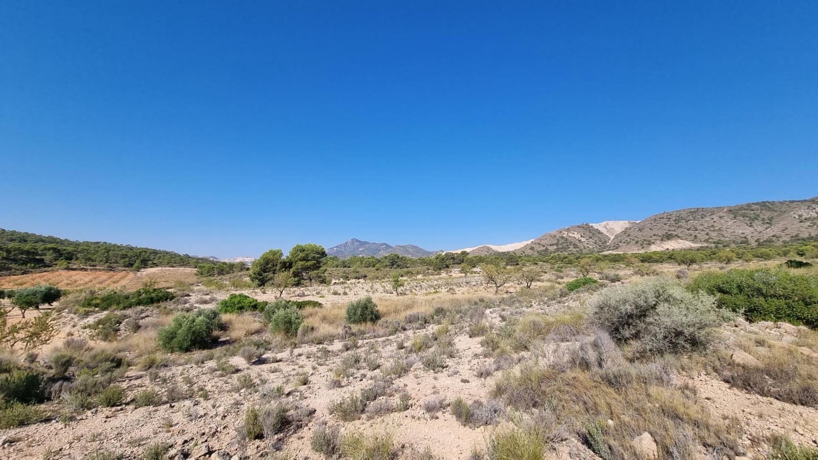 Terreno Non Edificato in vendita in Abanilla - 150.000 € (Rif: 9379438)