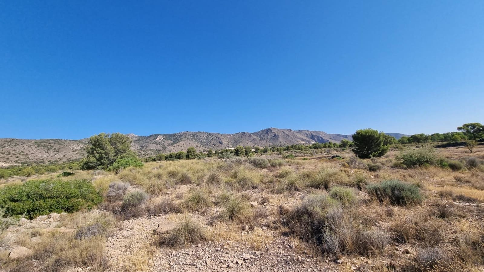 Terreno Non Edificato in vendita in Abanilla - 150.000 € (Rif: 9379438)