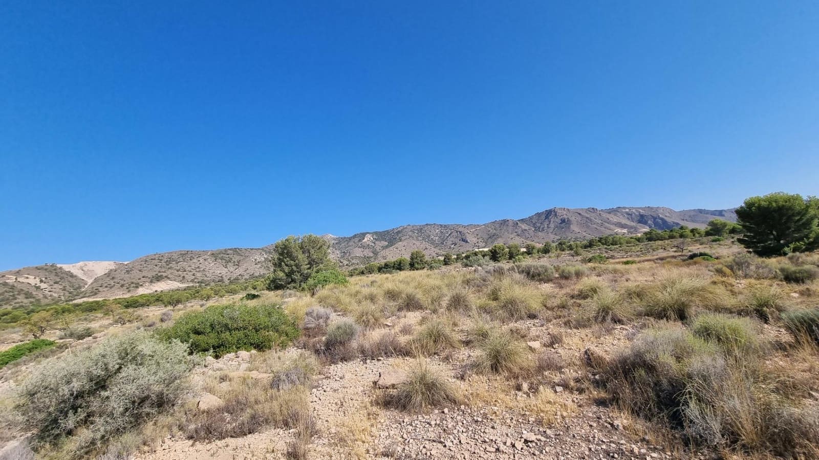 Terreno Non Edificato in vendita in Abanilla - 150.000 € (Rif: 9379438)