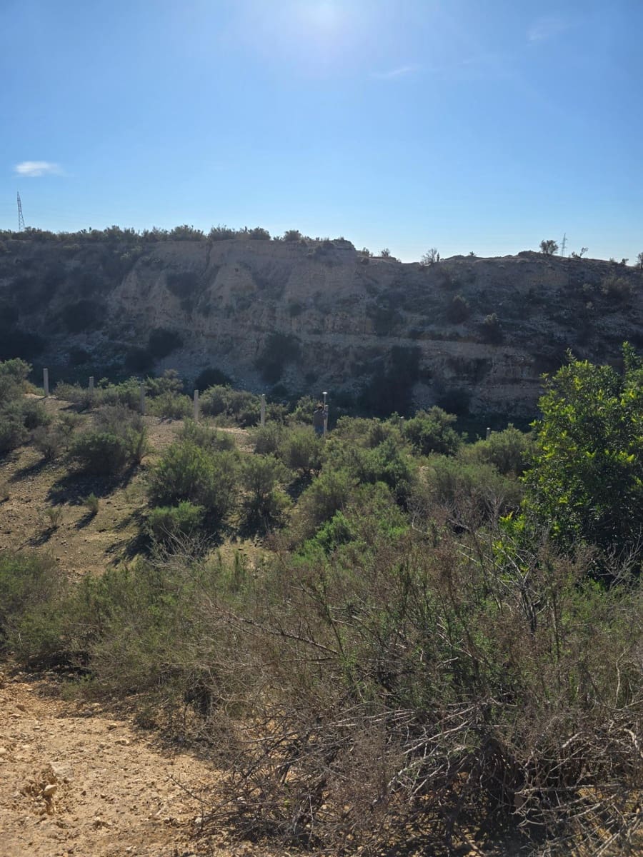 Commercial for sale in Crevillente / Crevillent - € 150,000 (Ref: 9677415)