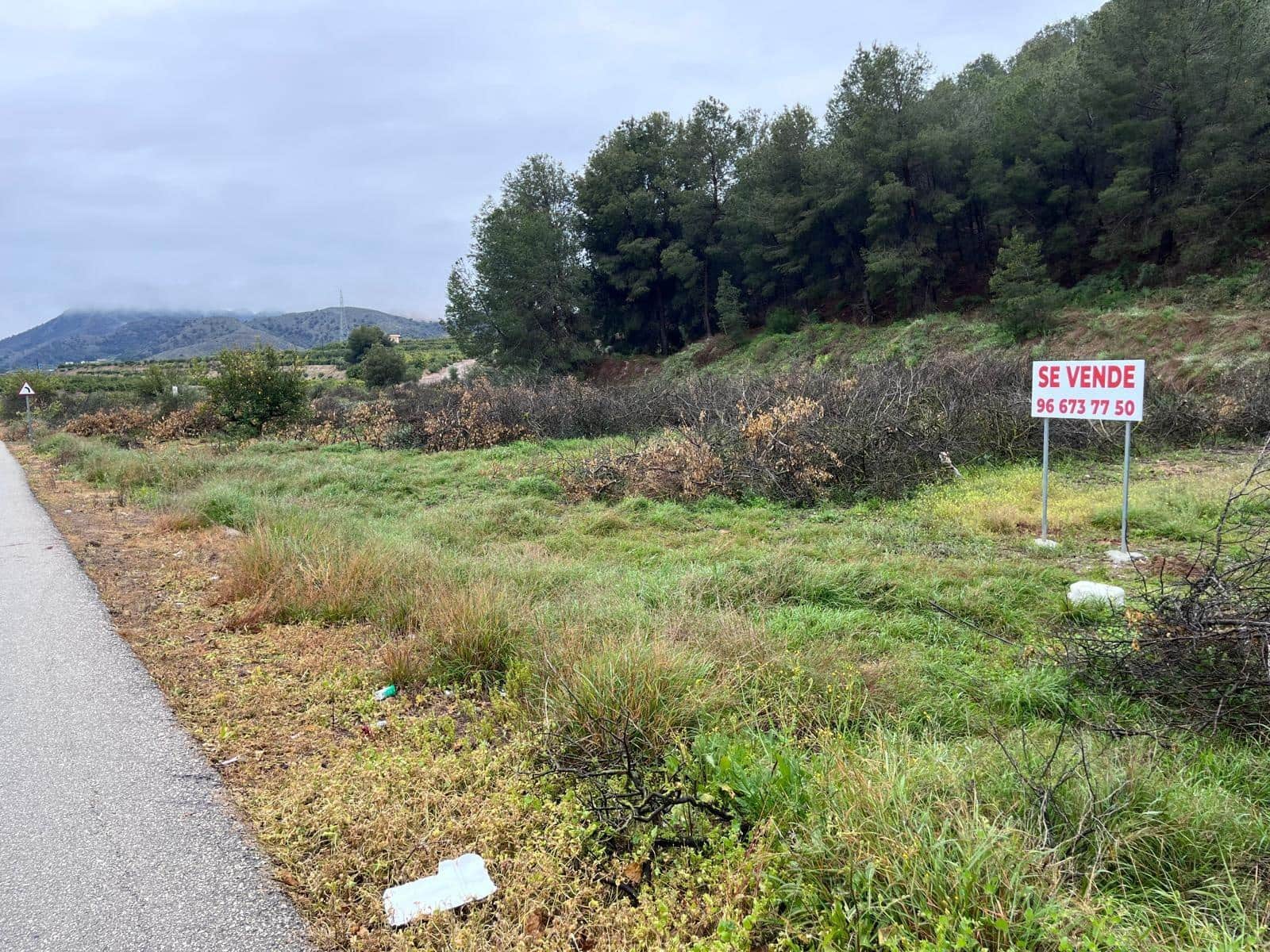 Undeveloped Land for sale in Santomera - € 45,000 (Ref: 9714870)