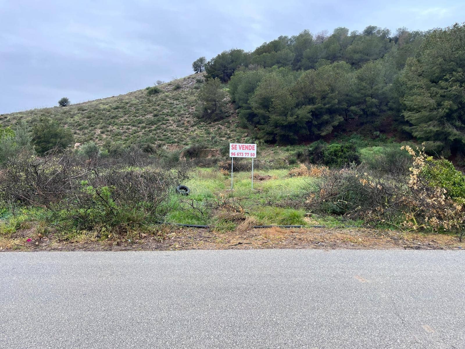 Undeveloped Land for sale in Santomera - € 45,000 (Ref: 9714870)