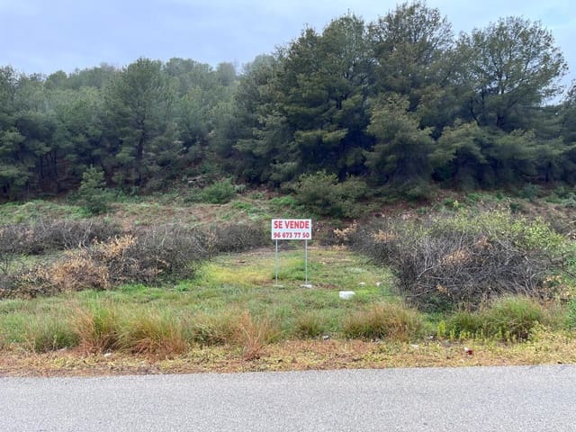 Terre non Aménagée à vendre à Santomera - 45 000 € (Ref: 9714870)