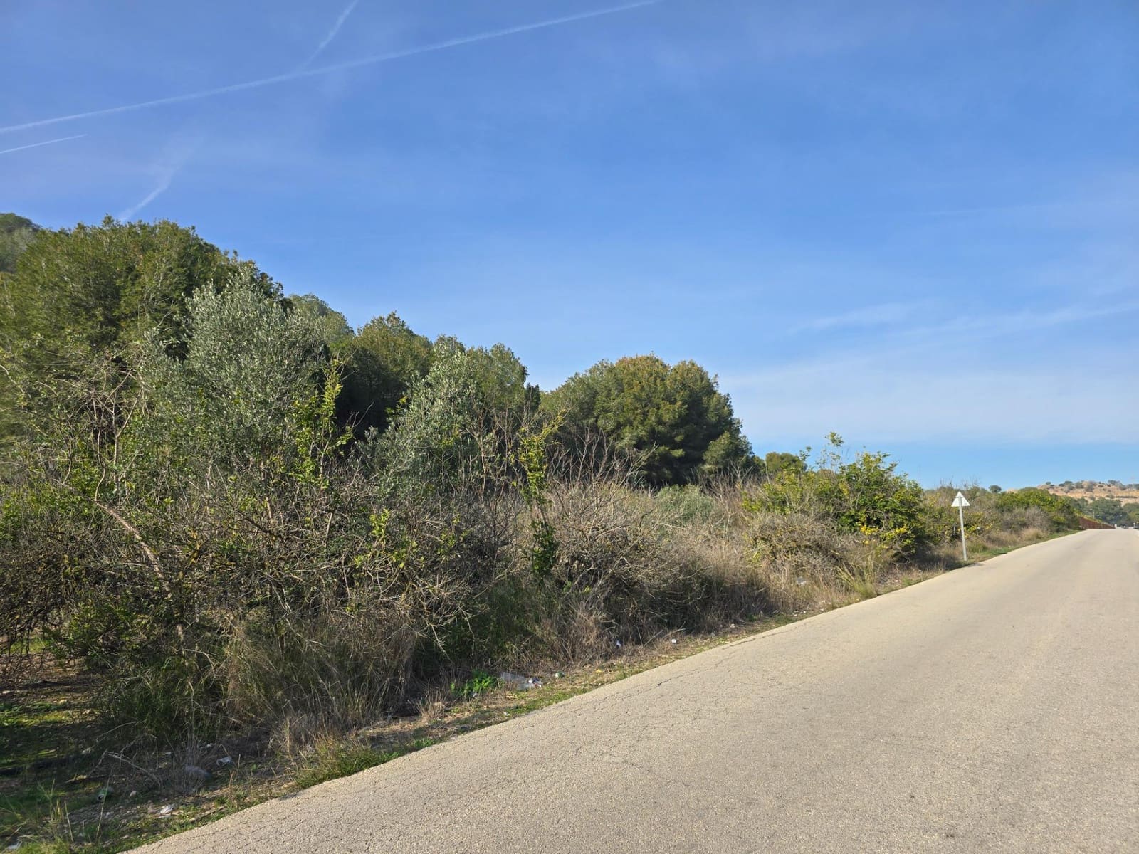 Undeveloped Land for sale in Santomera - € 45,000 (Ref: 9714870)