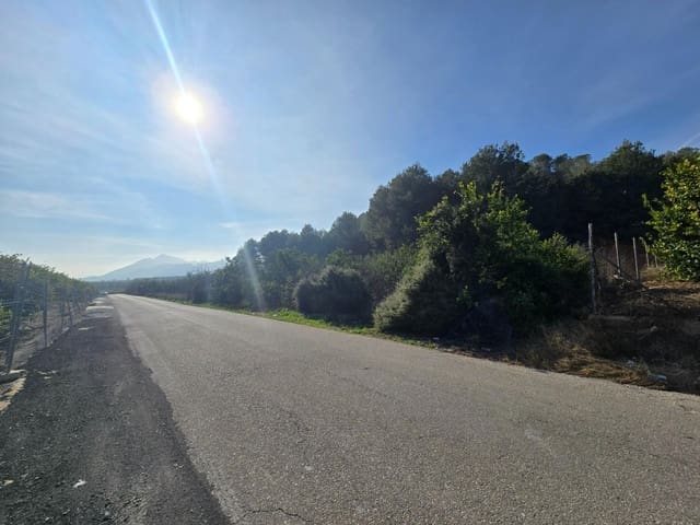 Terre non Aménagée à vendre à Santomera - 45 000 € (Ref: 9714870)