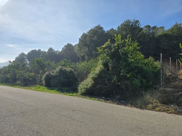 Terre non Aménagée à vendre à Santomera - 45 000 € (Ref: 9714870)