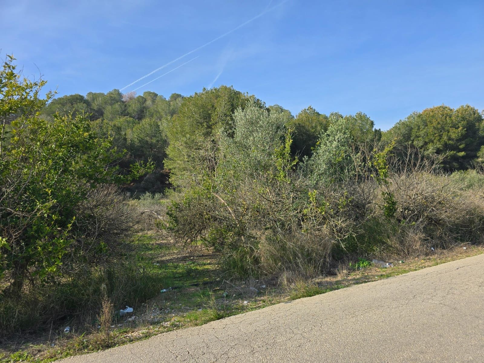 Undeveloped Land for sale in Santomera - € 45,000 (Ref: 9714870)