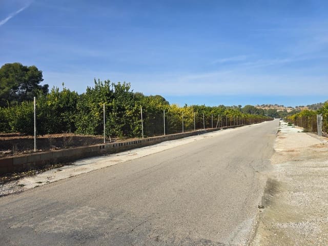 Terreno Non Edificato in vendita in Santomera - 45.000 € (Rif: 9714870)