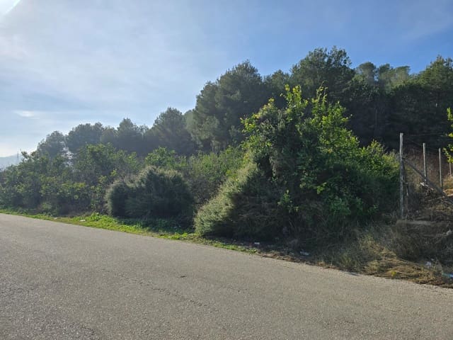 Terreno Non Edificato in vendita in Santomera - 45.000 € (Rif: 9714870)