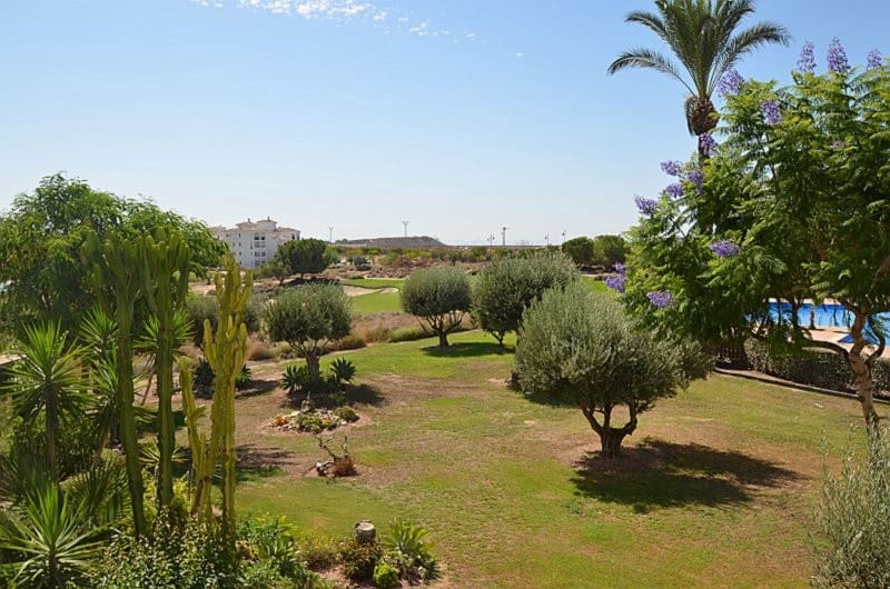 Apartamento de 2 habitaciones en Hacienda Riquelme en venta con piscina - 175.000 € (Ref: 10054530)