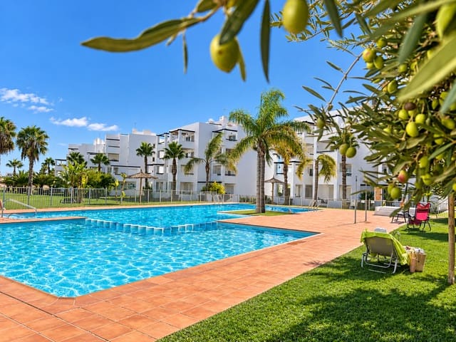 1 slaapkamer Appartement te koop in Terrazas de la Torre, Torre-Pacheco met zwembad - € 99.000 (Ref: 10119029)