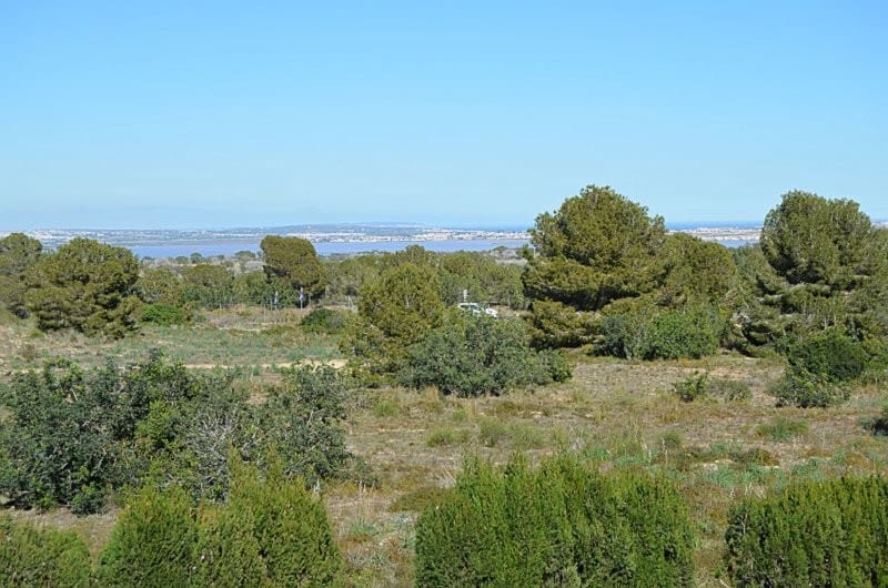 1 soveværelse Lejlighed til salg i San Miguel de Salinas med swimmingpool - € 120.000 (Ref: 9632657)