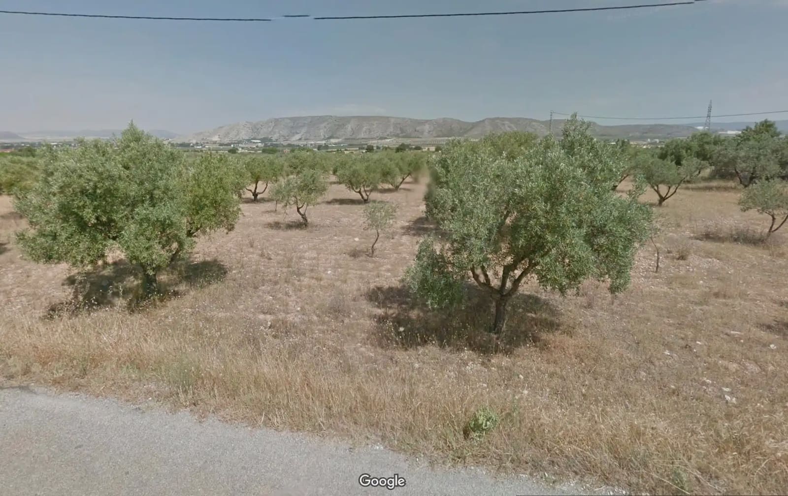 Teren niezagospodarowany na sprzedaż w Villena - 45 000 € (Ref: 9773474)