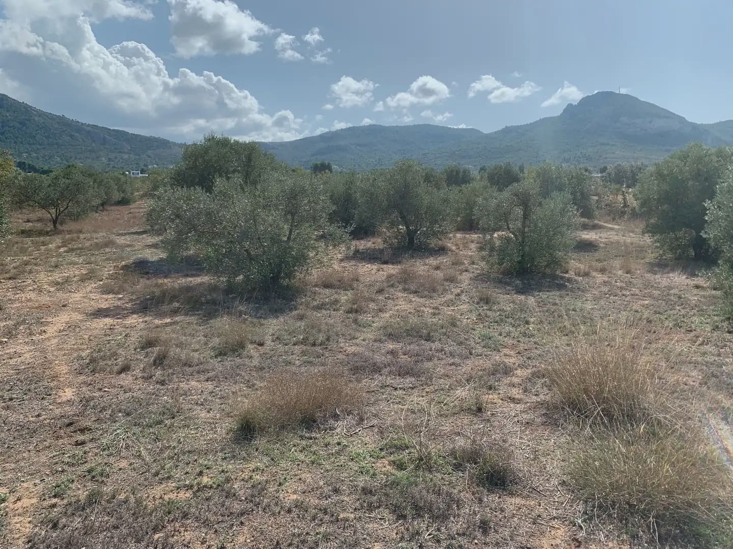 Teren niezagospodarowany na sprzedaż w Villena - 49 500 € (Ref: 9773483)