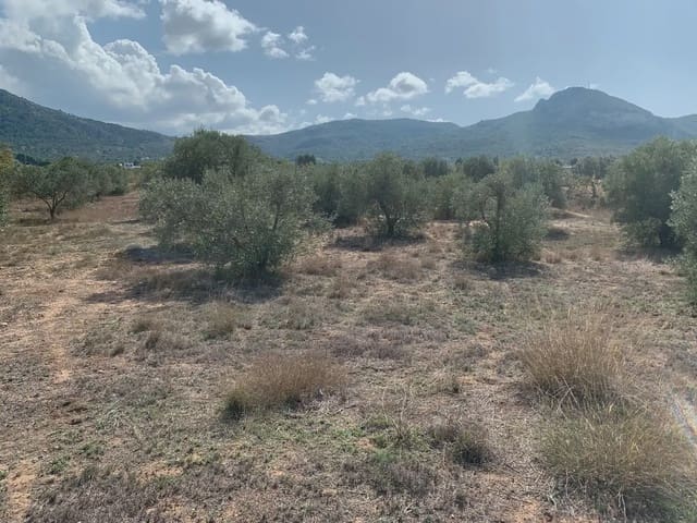Teren niezagospodarowany na sprzedaż w Villena - 49 500 € (Ref: 9773483)