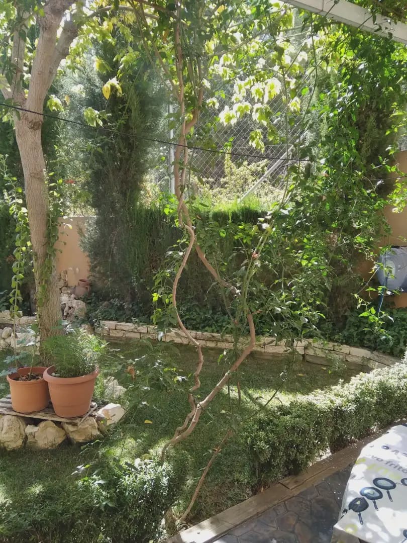 3 soveværelse Byhus til salg i Villena med garage - € 200.000 (Ref: 9773493)