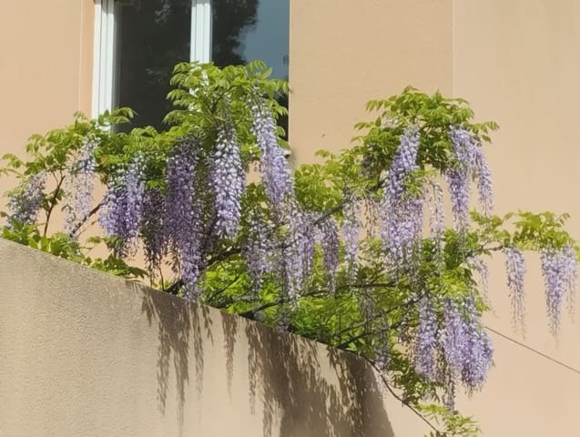 3 soveværelse Byhus til salg i Villena med garage - € 200.000 (Ref: 9773493)