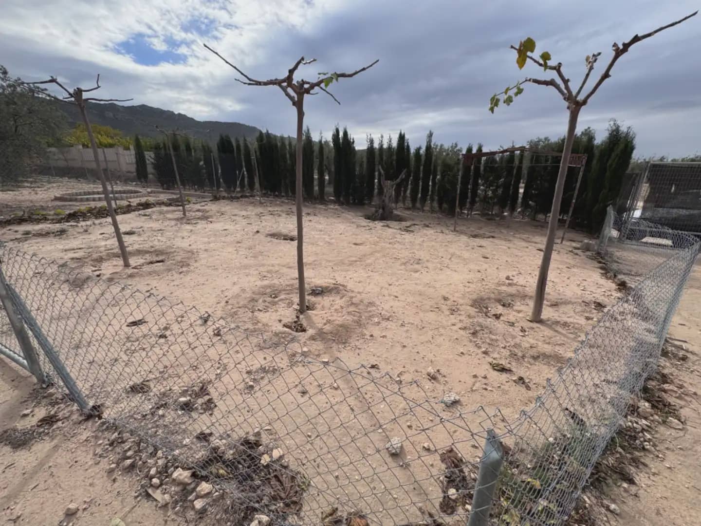 Solar/Parcela en Villena en venta - 50.000 € (Ref: 9773497)