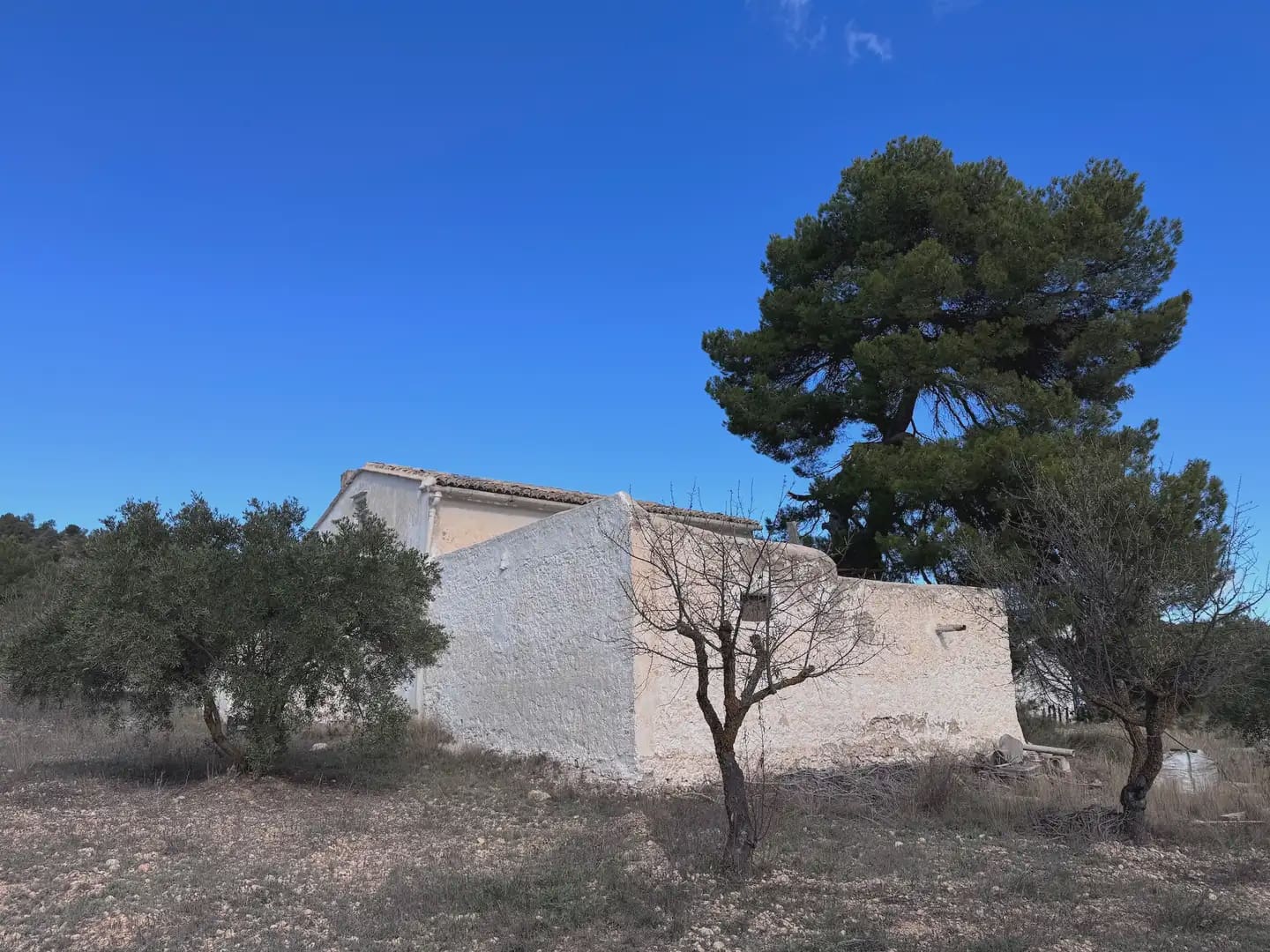 Terreno Non Edificato in vendita in Yecla - 100.000 € (Rif: 9773504)