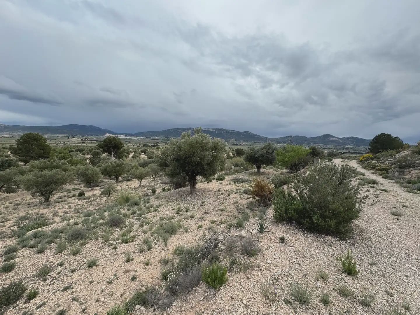 Teren niezagospodarowany na sprzedaż w Villena - 56 500 € (Ref: 9773518)