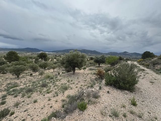 Teren niezagospodarowany na sprzedaż w Villena - 56 500 € (Ref: 9773518)