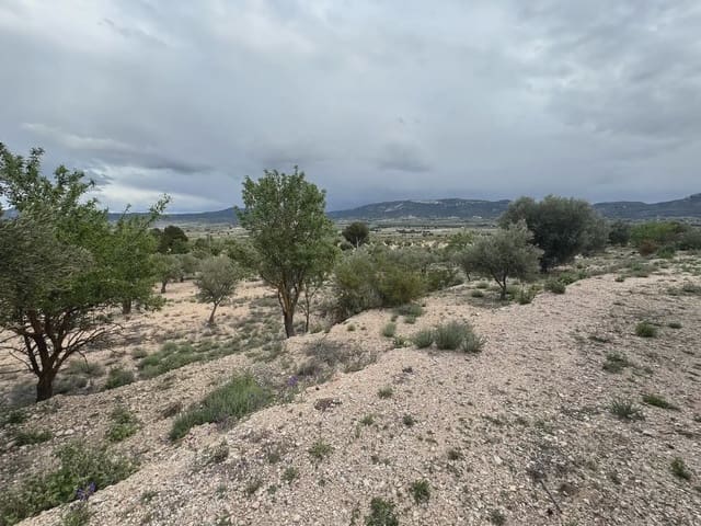 Teren niezagospodarowany na sprzedaż w Villena - 56 500 € (Ref: 9773518)