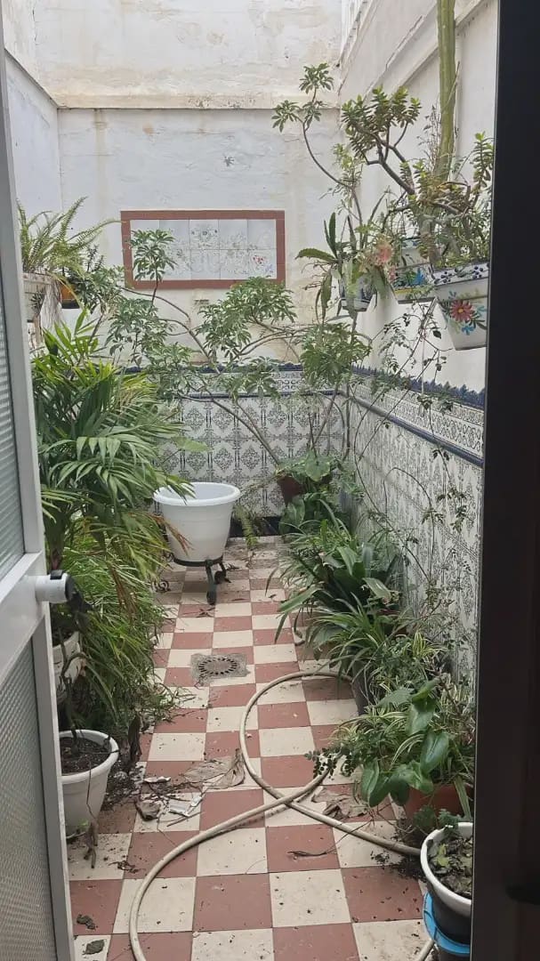 Gewerbe zu vermieten in Villena - 300 € (Ref: 9773520)