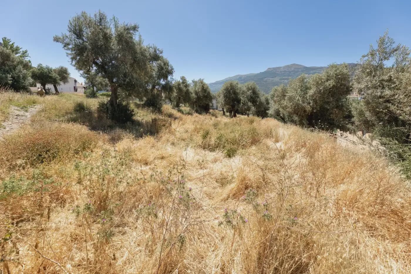 Building Plot for sale in Guejar Sierra - € 295,000 (Ref: 9836865)