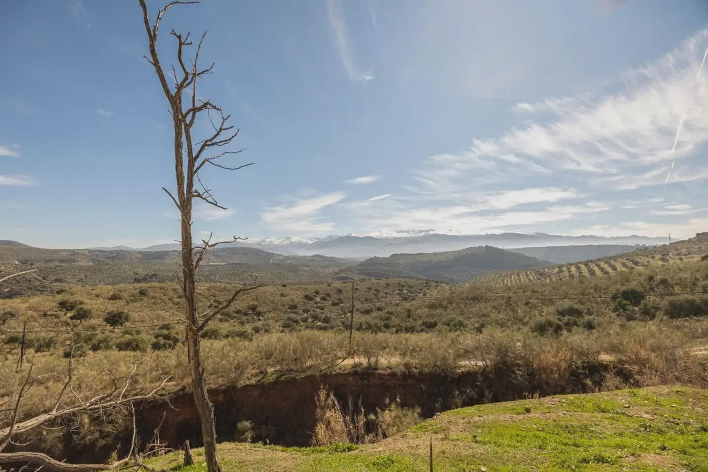 Finca/Herregård til salgs i Granada by - € 300 000 (Ref: 9836866)