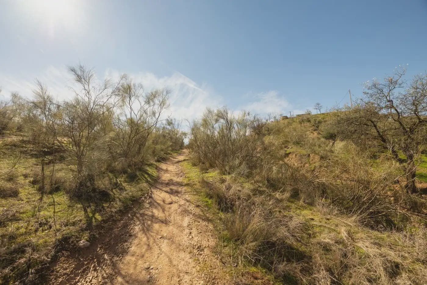 Finca/Herregård til salgs i Granada by - € 300 000 (Ref: 9836866)
