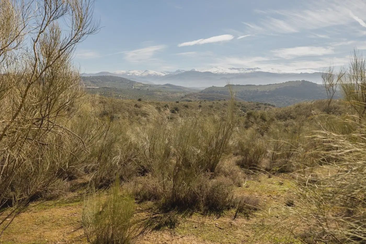 Finca/Herregård til salgs i Granada by - € 300 000 (Ref: 9836866)