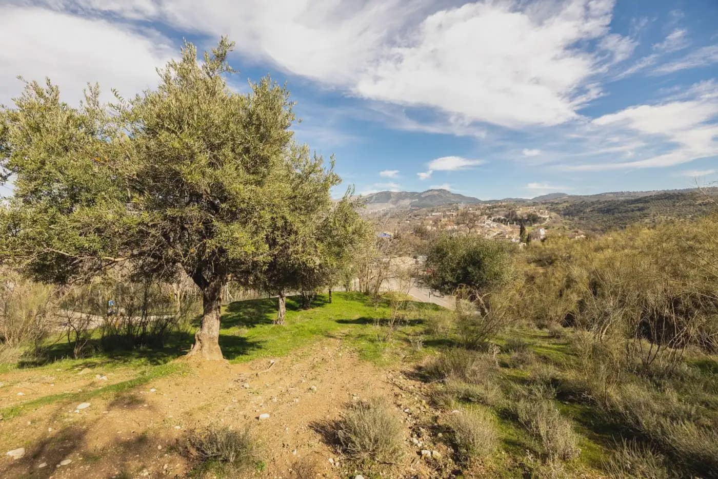 Finca/Herregård til salgs i Granada by - € 300 000 (Ref: 9836866)