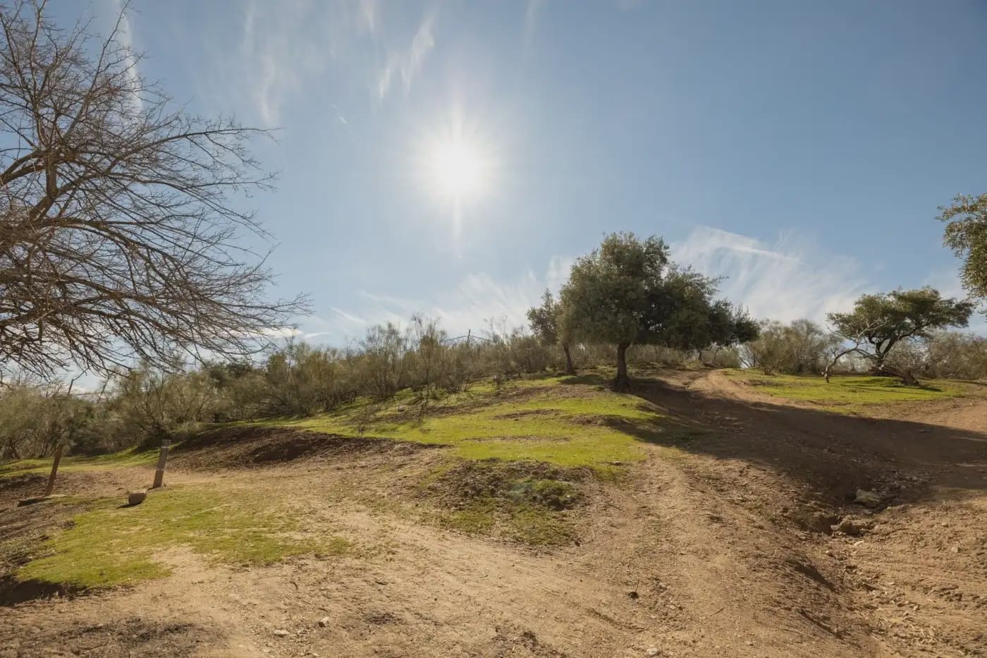 Finca/Herregård til salgs i Granada by - € 300 000 (Ref: 9836866)