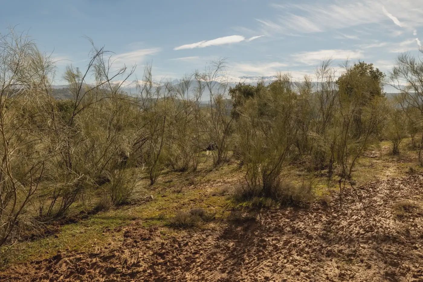 Finca/Herregård til salgs i Granada by - € 300 000 (Ref: 9836866)