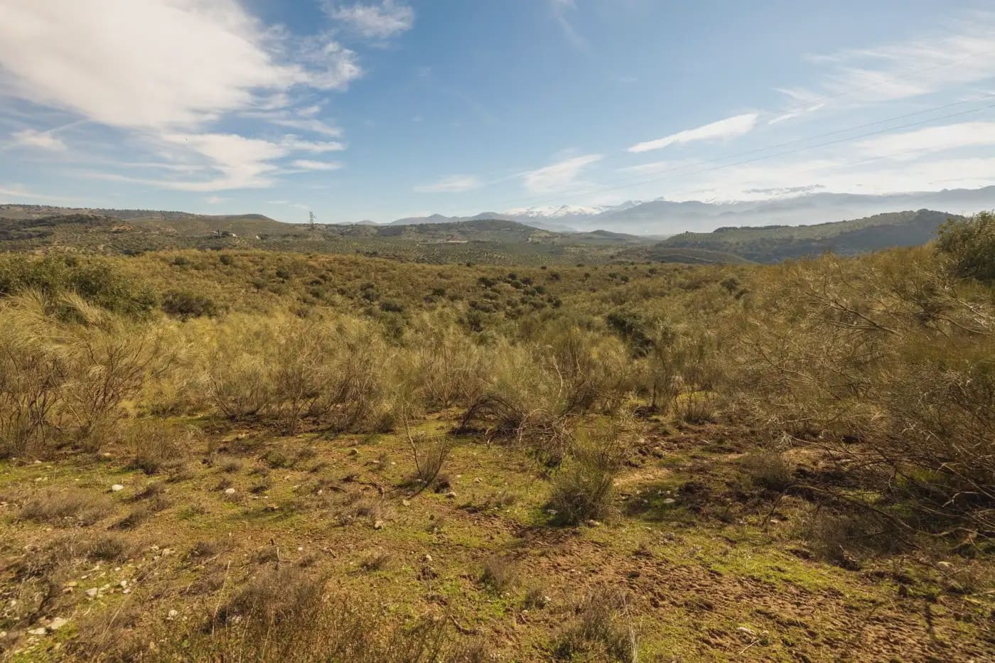 Finca/Herregård til salgs i Granada by - € 300 000 (Ref: 9836866)