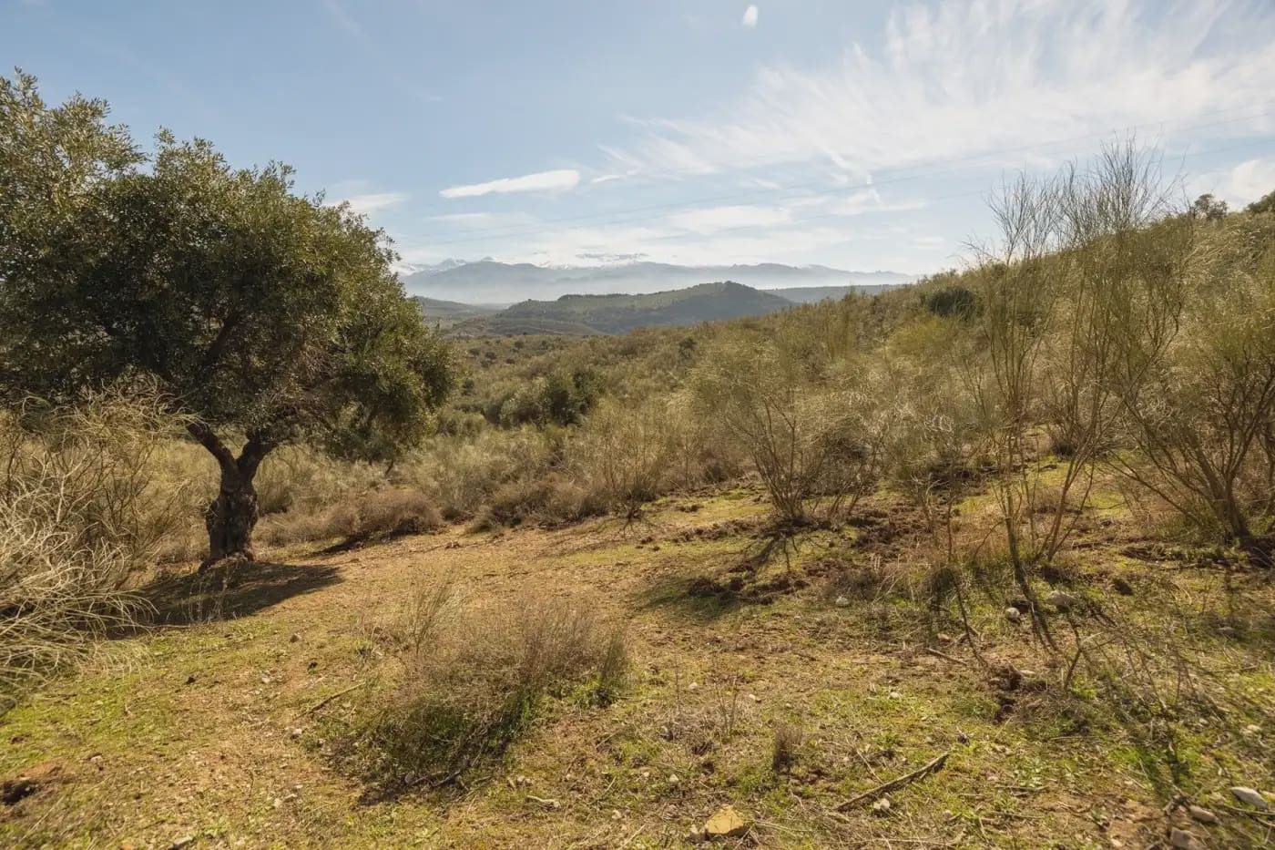 Finca/Herregård til salgs i Granada by - € 300 000 (Ref: 9836866)