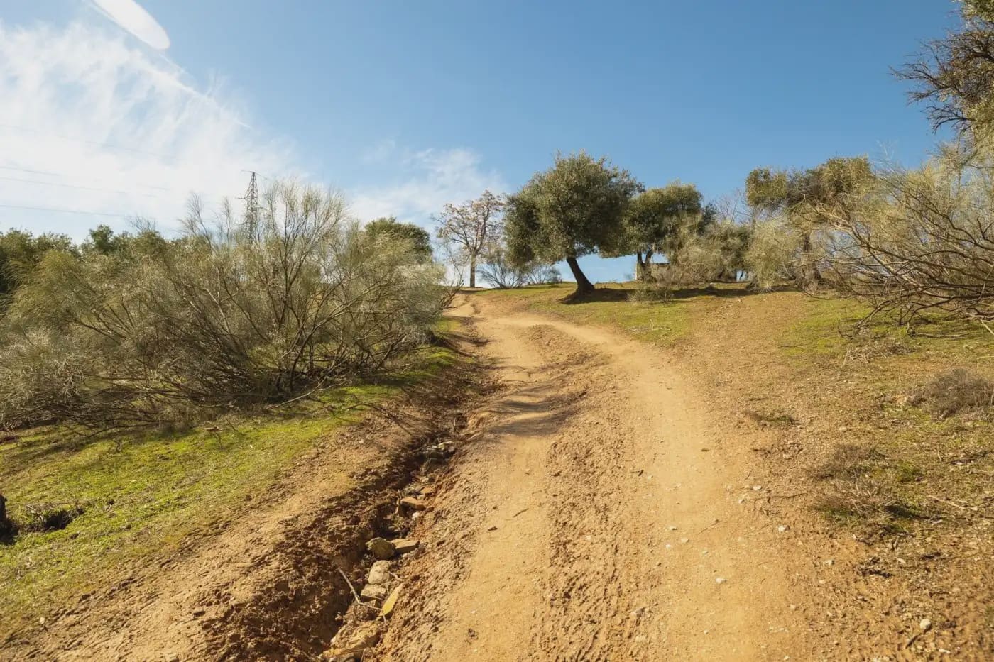 Finca/Herregård til salgs i Granada by - € 300 000 (Ref: 9836866)