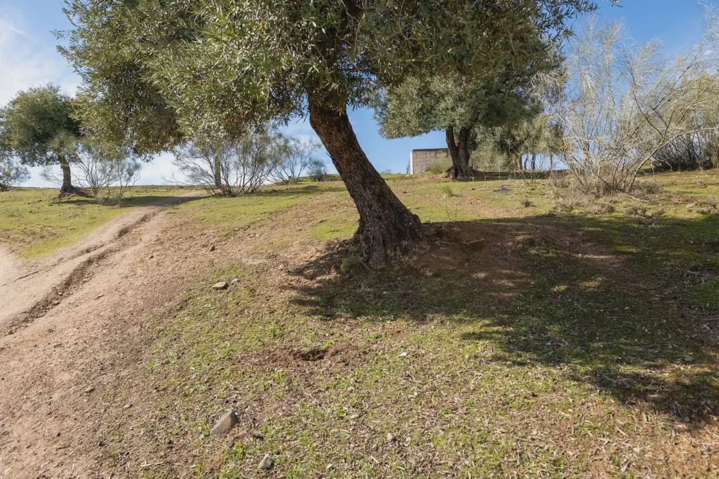 Finca/Herregård til salgs i Granada by - € 300 000 (Ref: 9836866)
