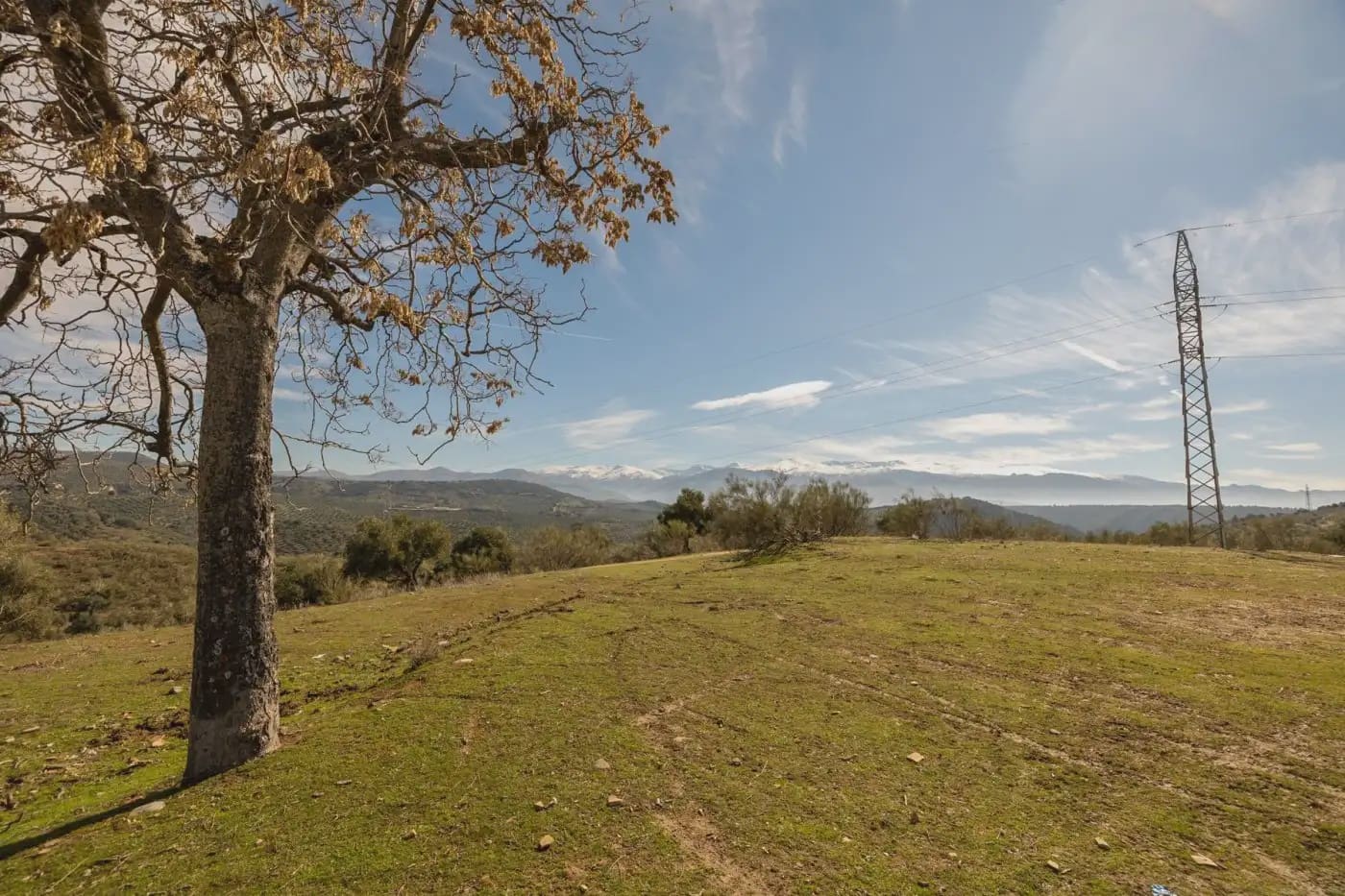Finca/Herregård til salgs i Granada by - € 300 000 (Ref: 9836866)