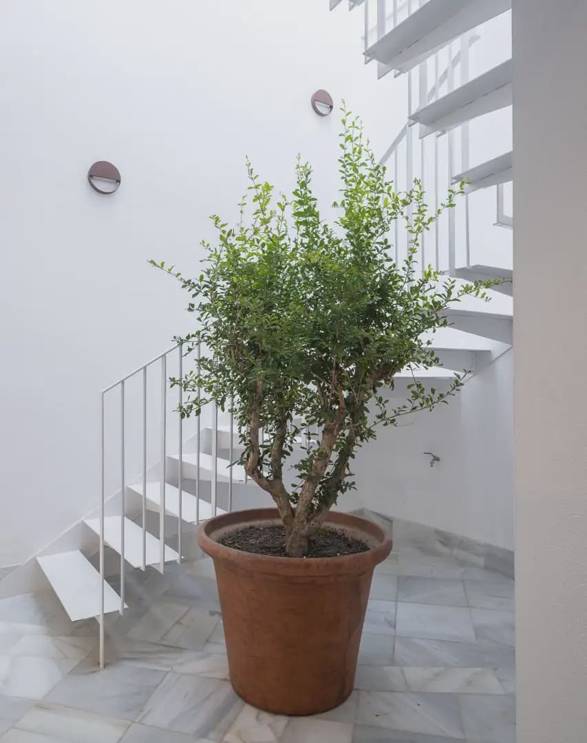Flat te koop in Granada stad - € 269.000 (Ref: 9836899)
