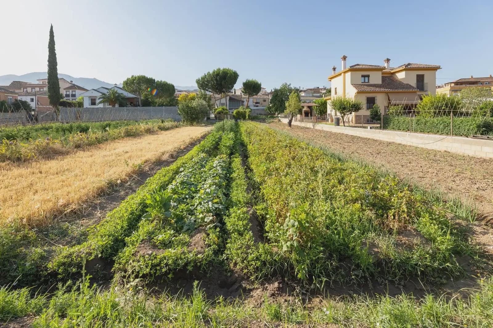 Building Plot for sale in La Zubia - € 225,000 (Ref: 9836937)