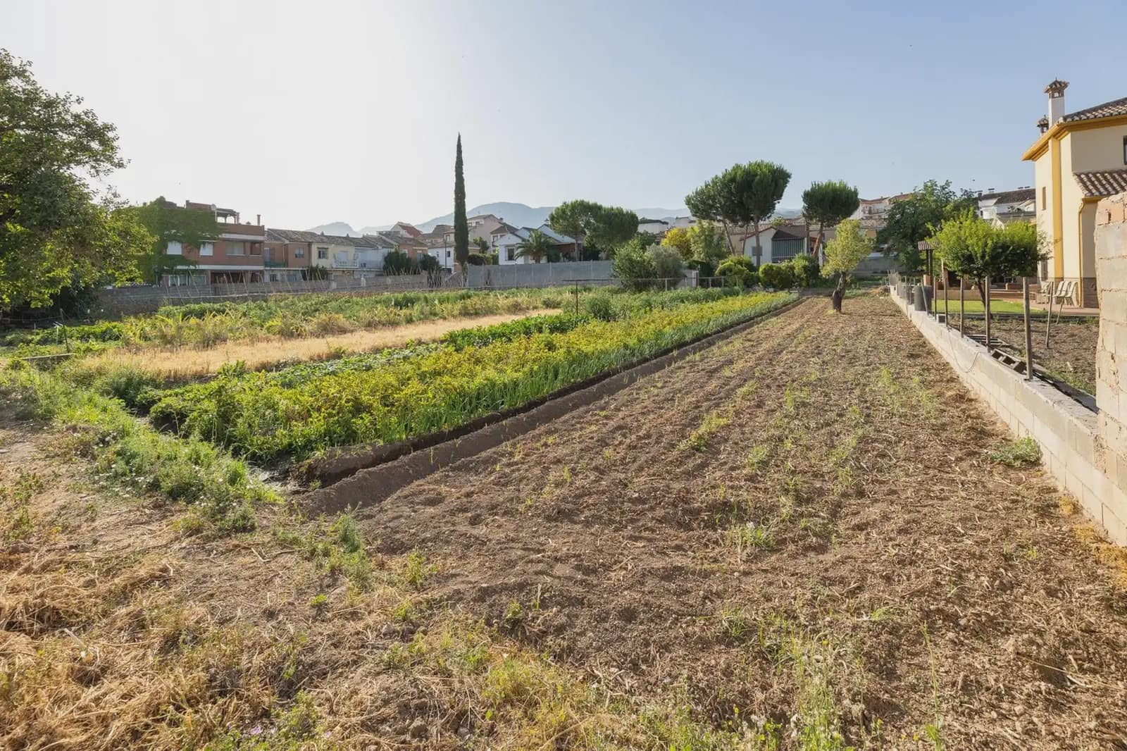 Building Plot for sale in La Zubia - € 225,000 (Ref: 9836937)